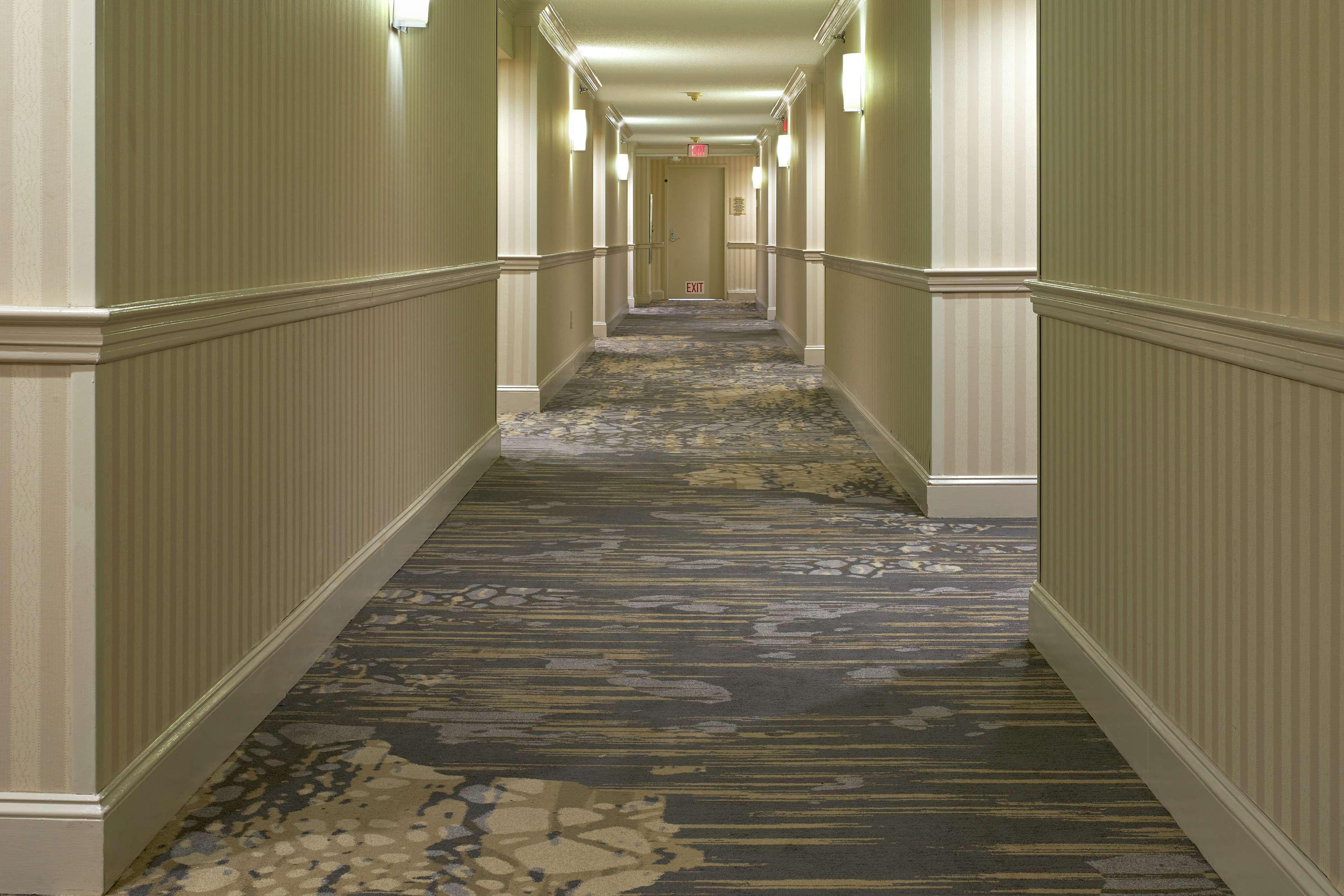 Hilton Raleigh North Hills Hotell Inreriör bild